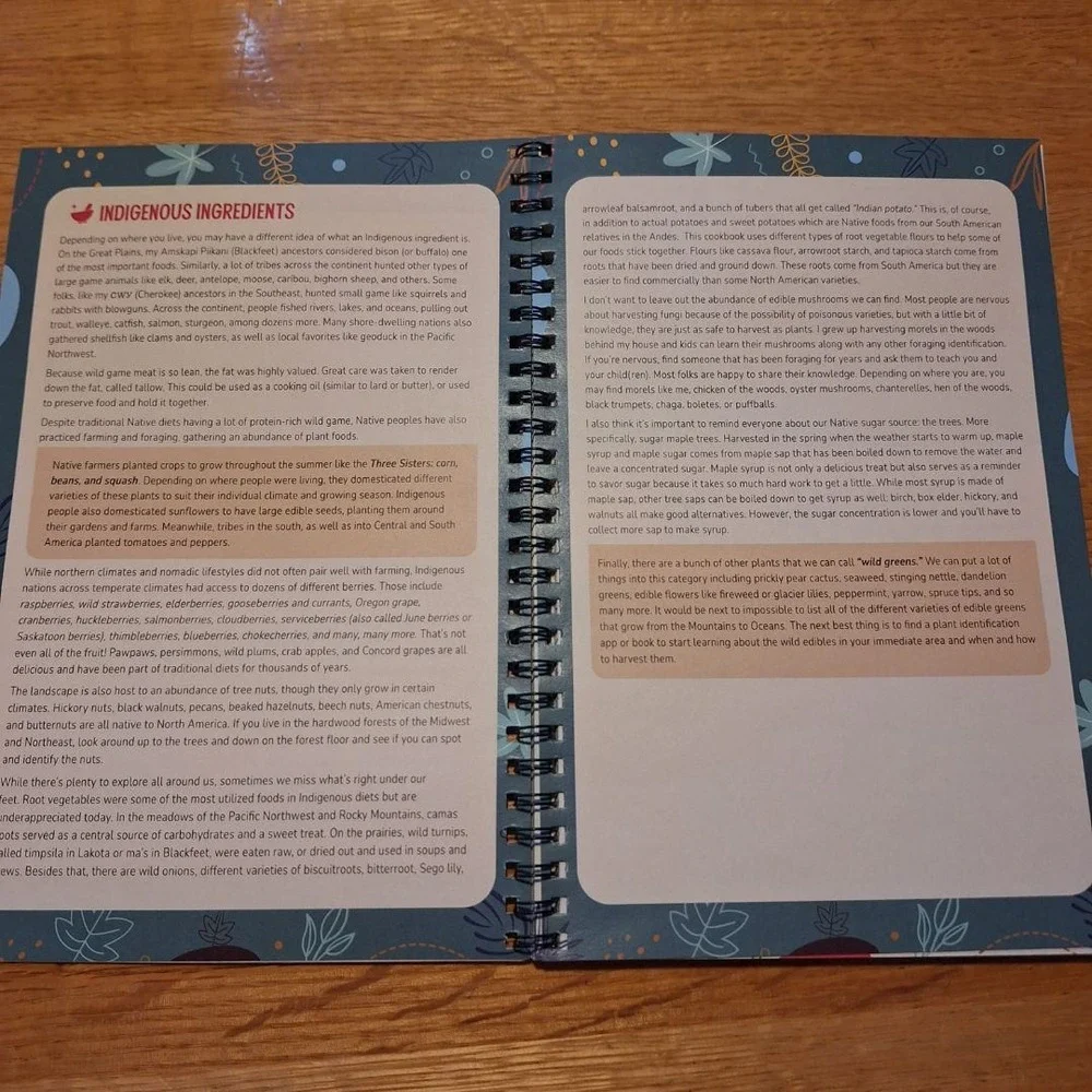 Mountains Oceans Kids Recipes From Native Land Cookbook‎ by Mariah Gladstone